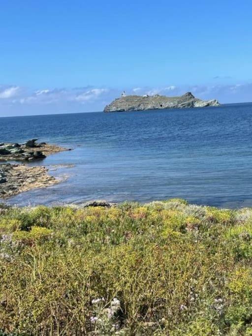 Appartement Tout Confort 2-4 Pers 500 M De La Plage Avec Piscine Et Wifi Santa-Maria-Poggio  Εξωτερικό φωτογραφία
