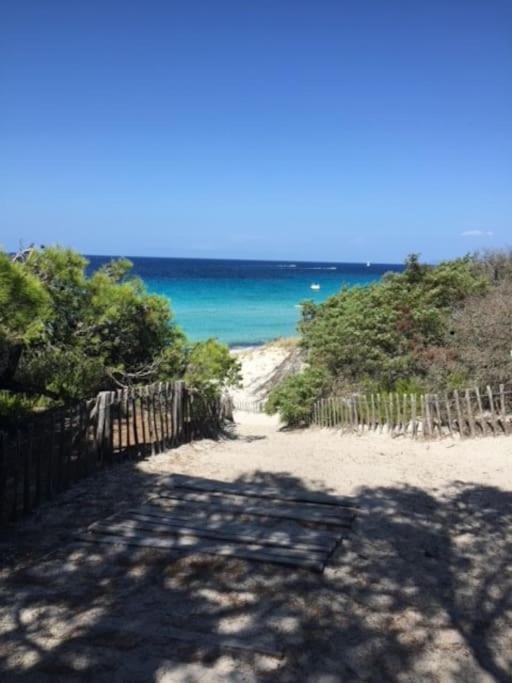 Appartement Tout Confort 2-4 Pers 500 M De La Plage Avec Piscine Et Wifi Santa-Maria-Poggio  Εξωτερικό φωτογραφία
